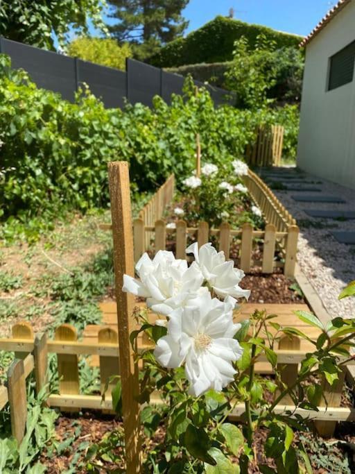 Hébergement de vacances Maison, Jardin, Piscine Parking Pres D'aix Centre *