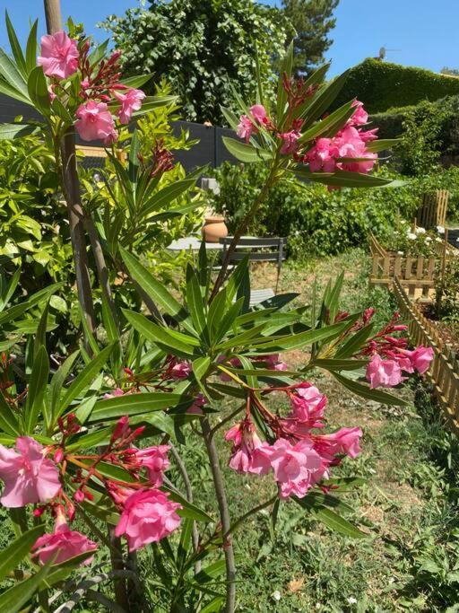 Hébergement de vacances Maison, Jardin, Piscine Parking Pres D'aix Centre *